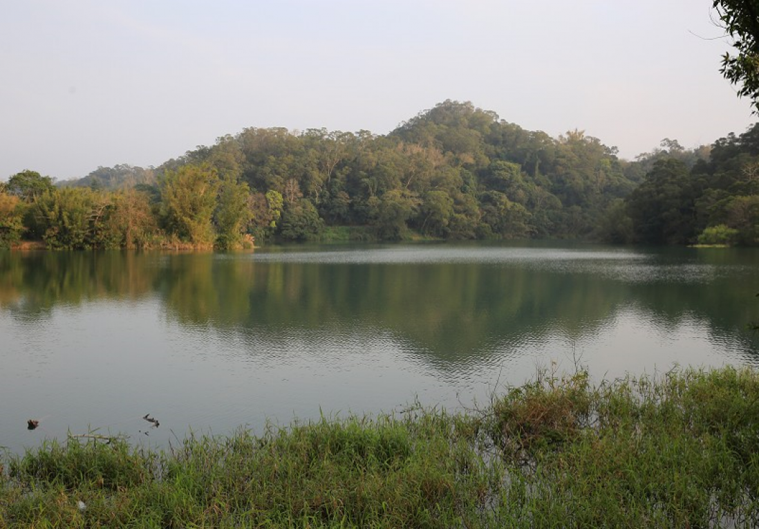 寶山淨水場水源寶山水庫環湖步道一景