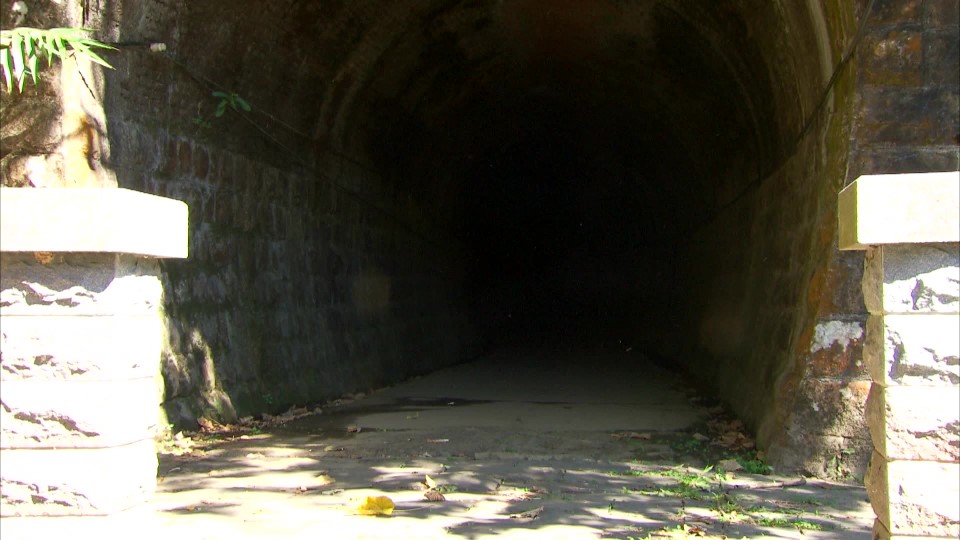 日月潭水力電氣計劃大觀古隧道遺跡