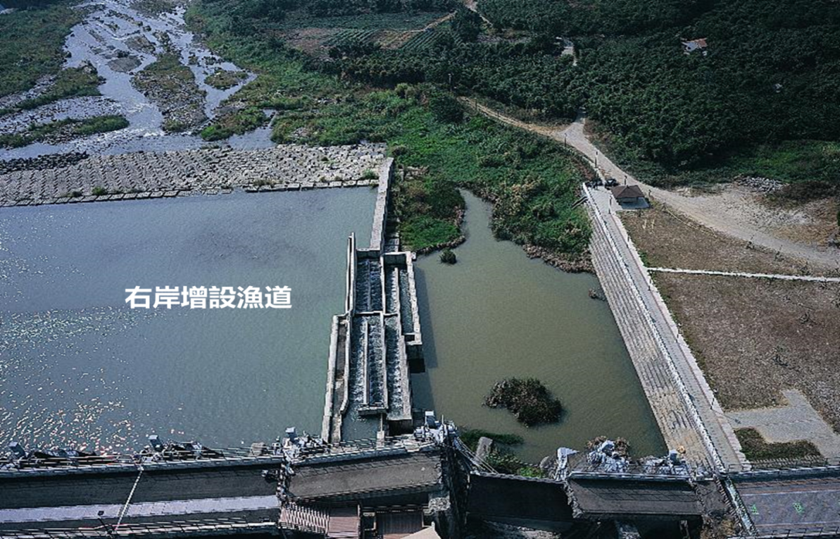 大台中地區公共給水石岡壩921地震後增建魚道