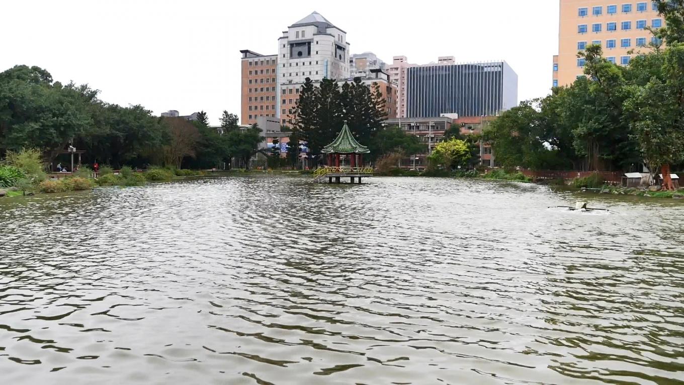 台大醉月湖 近四十年來，台北都市快速發展，昔日肩負大台北地區農田灌溉、 工業用水及日常生活用水的瑠公圳，亦隨之功成身退。