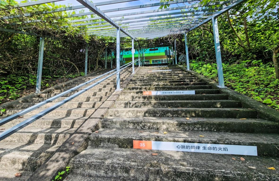 曾文水庫景觀
