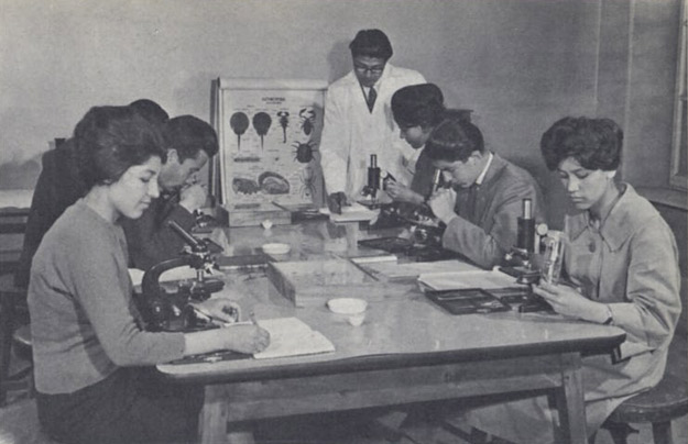 阿富汗末代國王查希爾推動改革