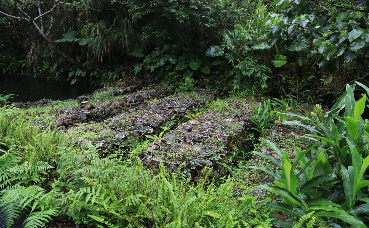 民國時期宜蘭地區公共給水公共給水深溝水源生態園區