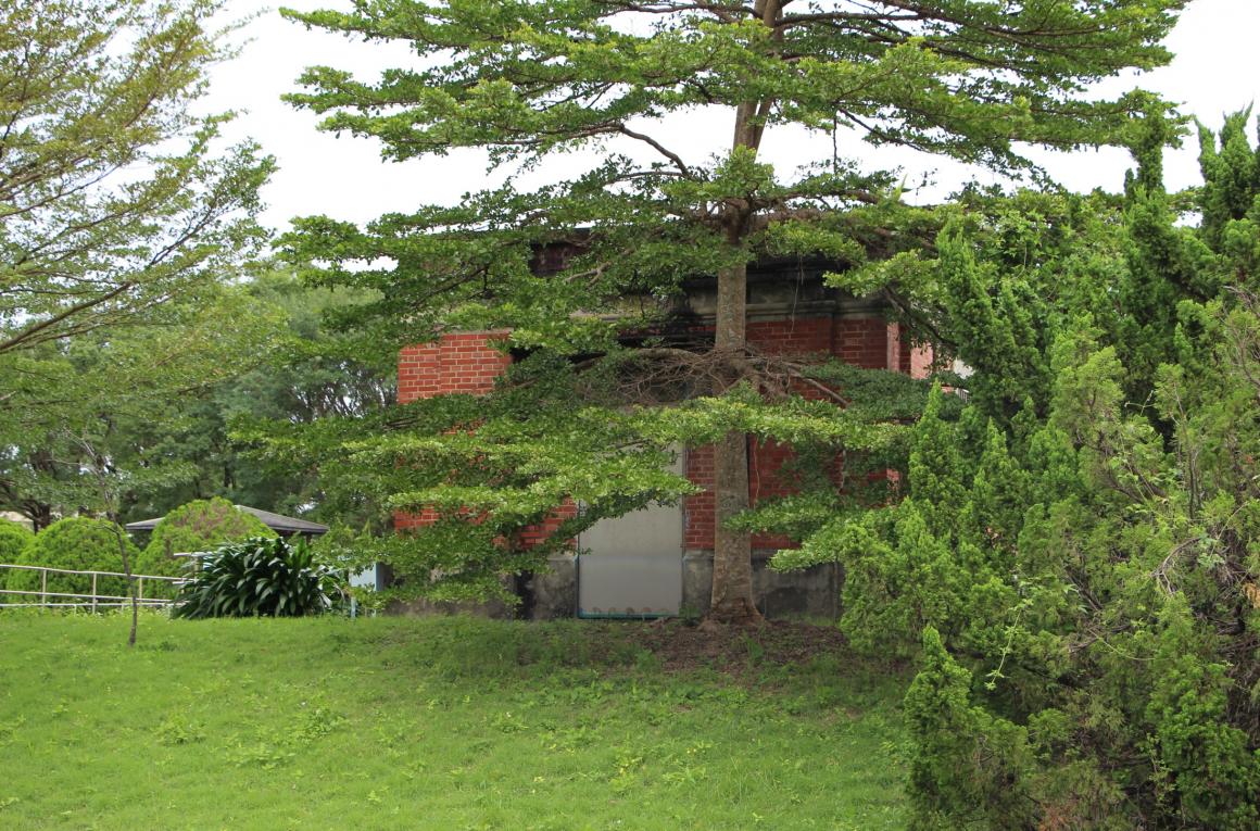 日治時期花蓮地區公共給水花蓮港水道(美崙淨水場)設施