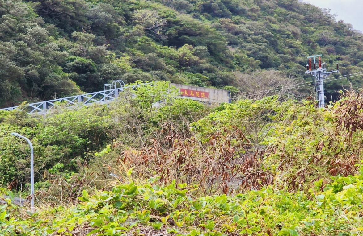南迴鐵路電氣化南廻線大鳥隧道