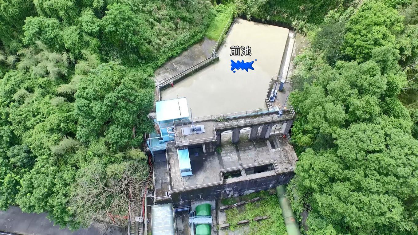 小粗坑電廠:水經粗坑壩取水口再經過小粗坑引水道來到前池