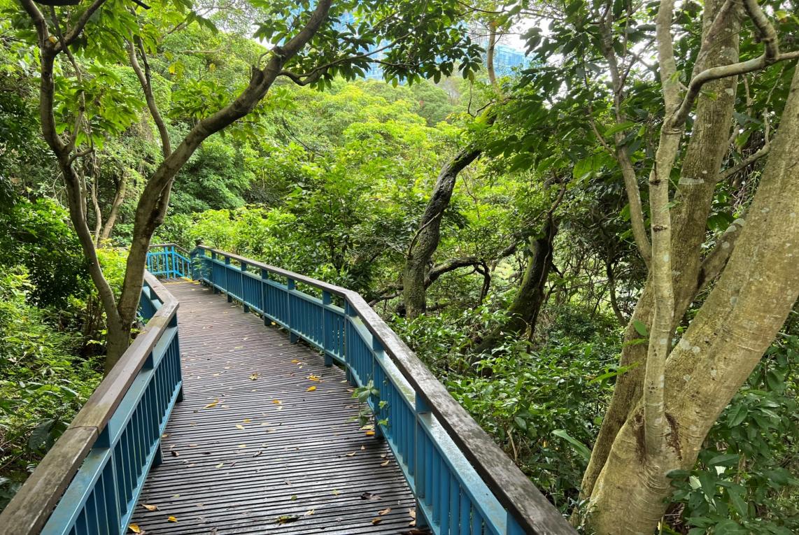 捷運內湖線沿線車站劍南路站(BR15)周邊-劍南蝶園