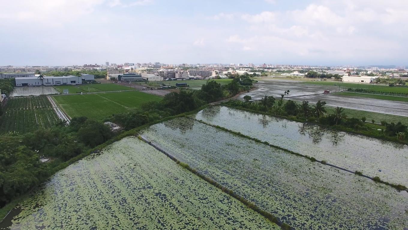 道將圳嘉義水上鄉農田：道爺圳渠道範圍包含原將軍圳系統，兩圳系統遂合一，灌溉面積達2,938甲。