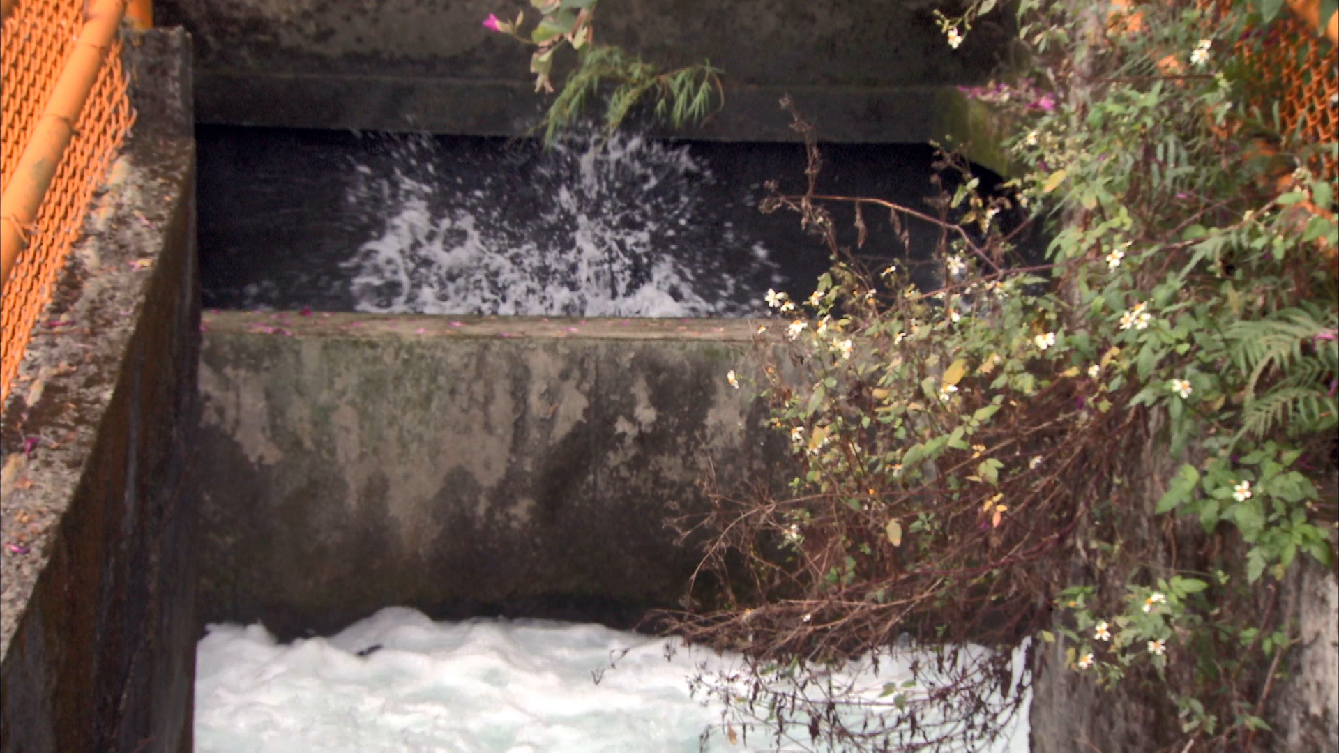 軟橋電廠尾水