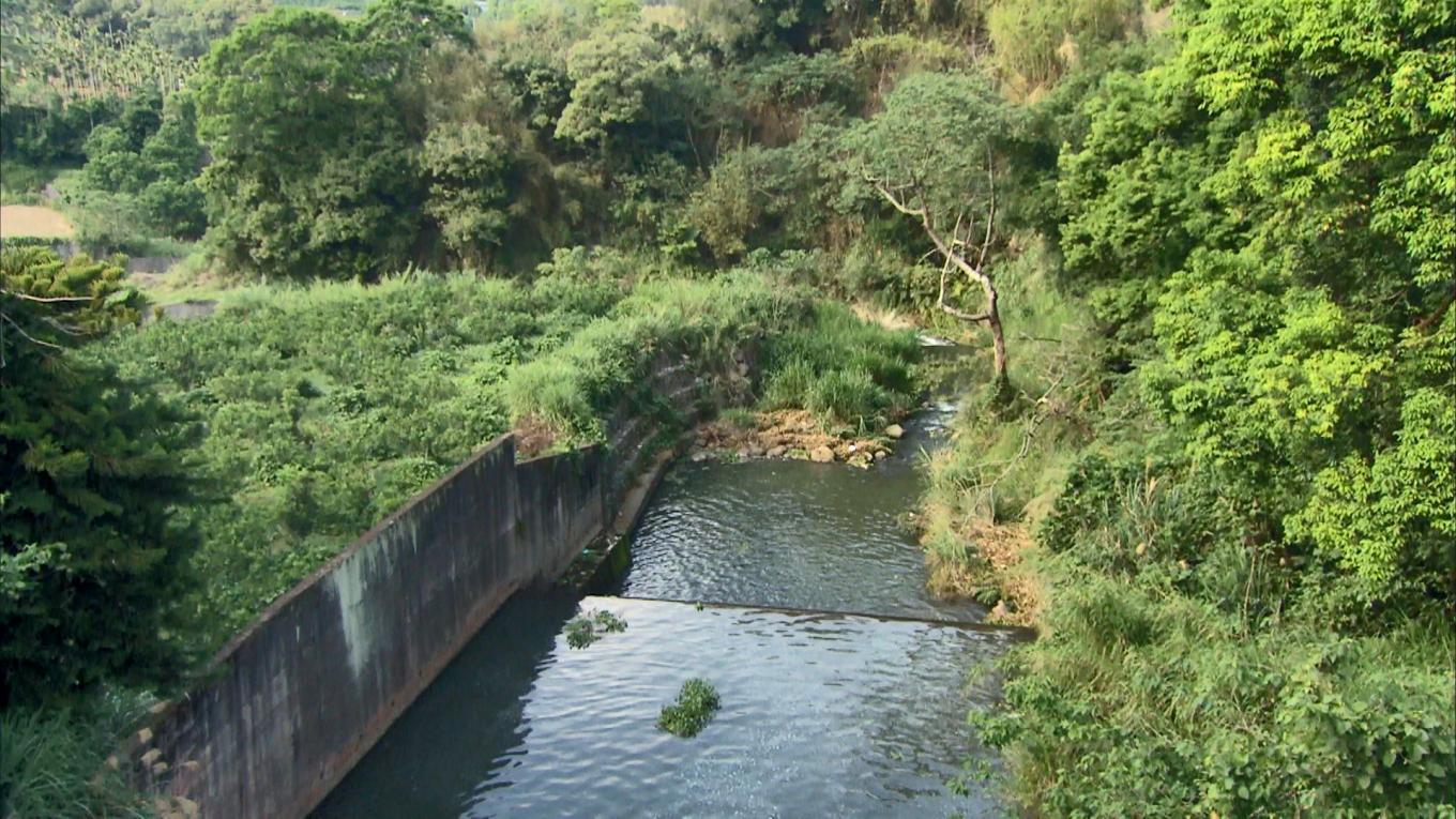 白冷圳水流域-食水嵙溪