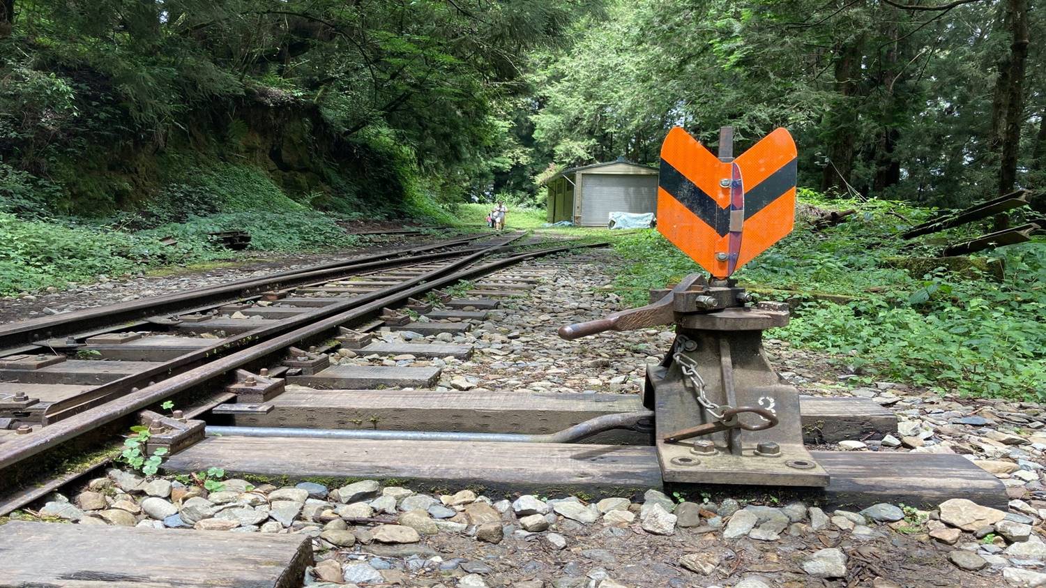 阿里山森林鐡道之字型路線軌道上的鐵路轉轍器