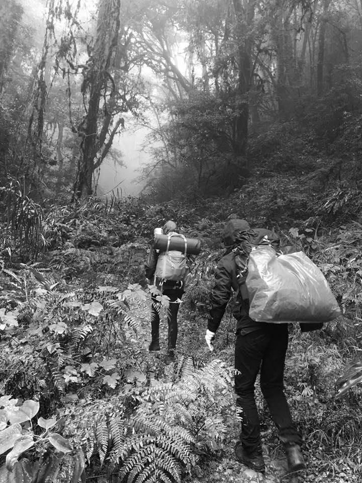 阿里山森林鐵路溪阿縱走