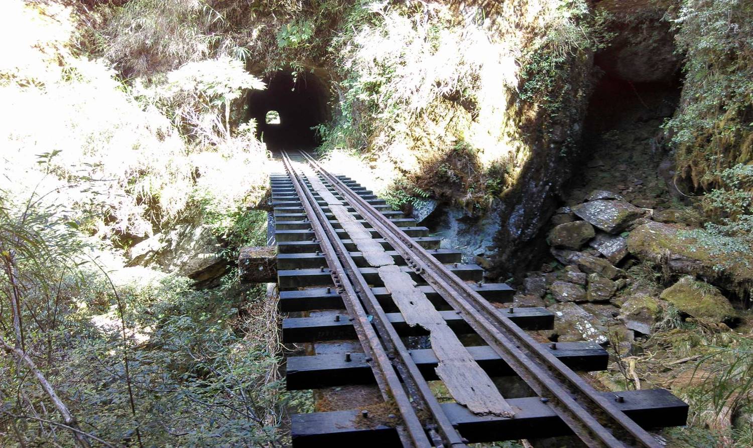 阿里山森林鐵路眠月線鐵軌