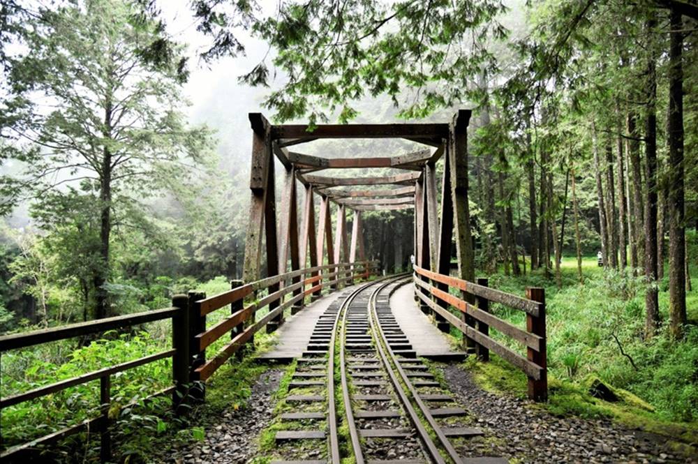 阿里山森林鐵路水山步道木棧橋