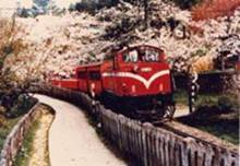 阿里山森林鐡路DL31柴油機車