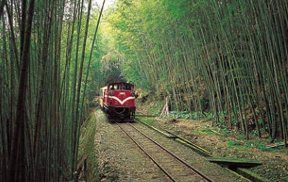 柴油機車行駛於800至1000公尺暖帶林的阿里山森林鐵路