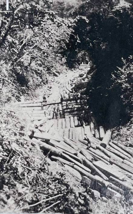 太平山林鐵木滑道集材