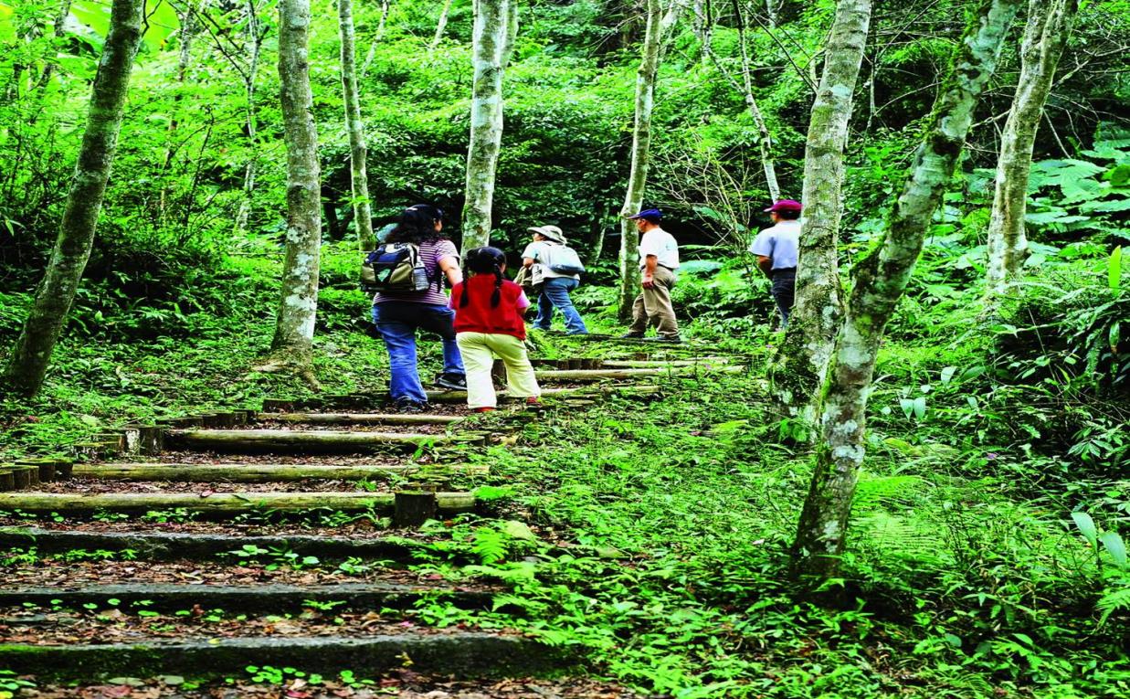 太平山林鐵鳩之澤自然步道