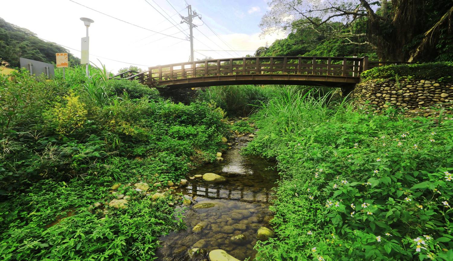 新莊水源地-新莊水源地木橋及18分坑溪河床