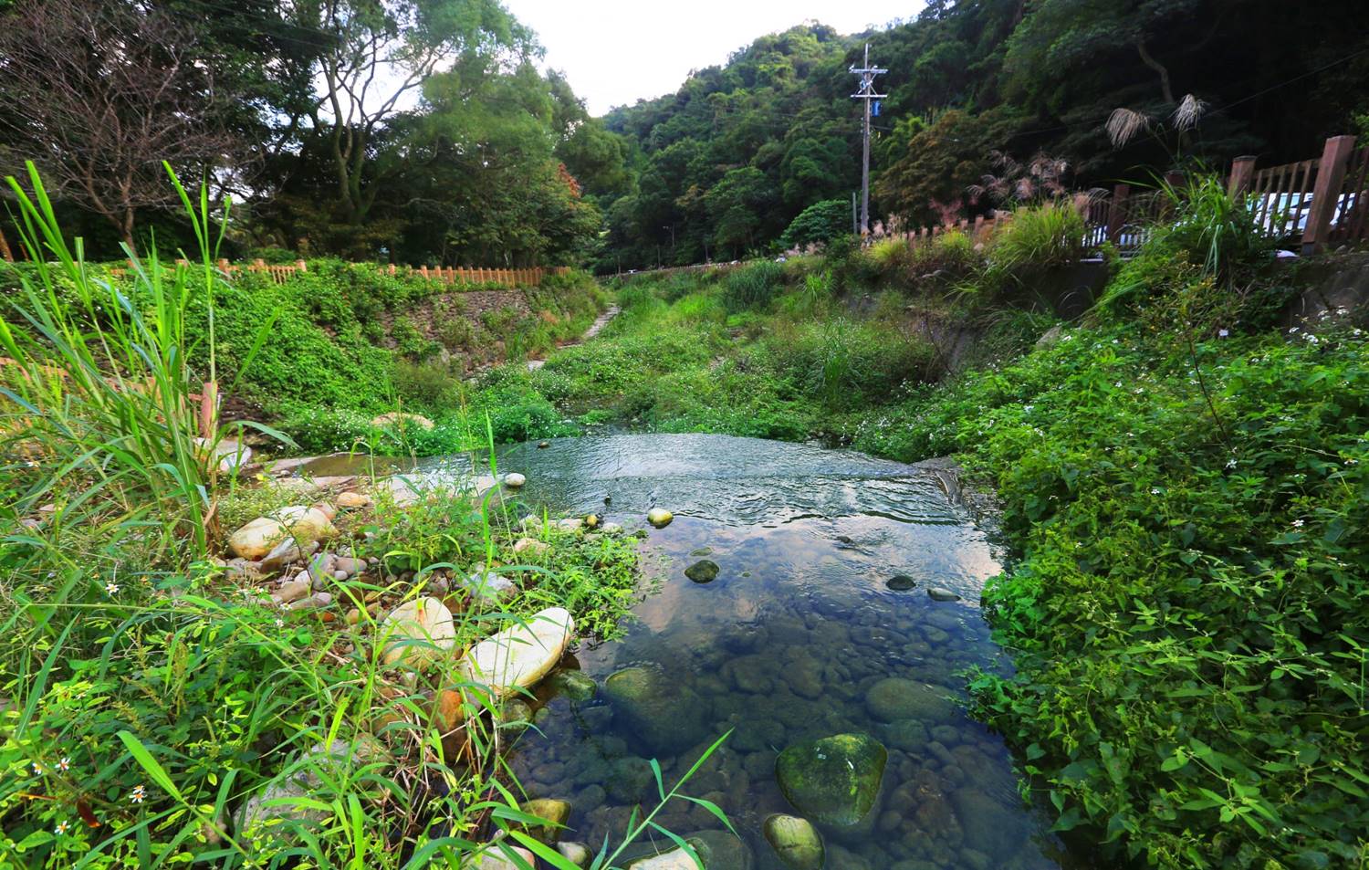 新莊水源地-18分坑溪河水清澈