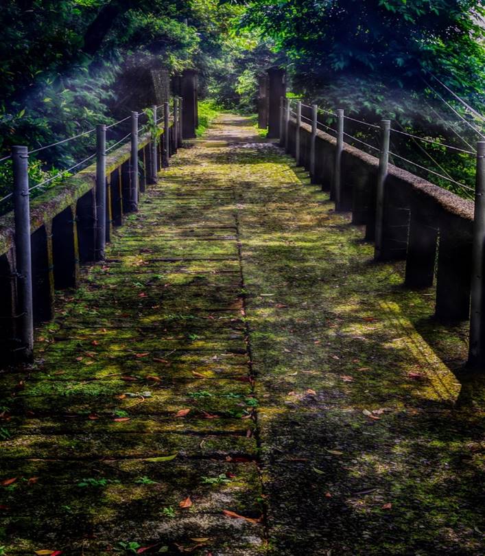 公共給水臺北水道草山水道系統-水管橋