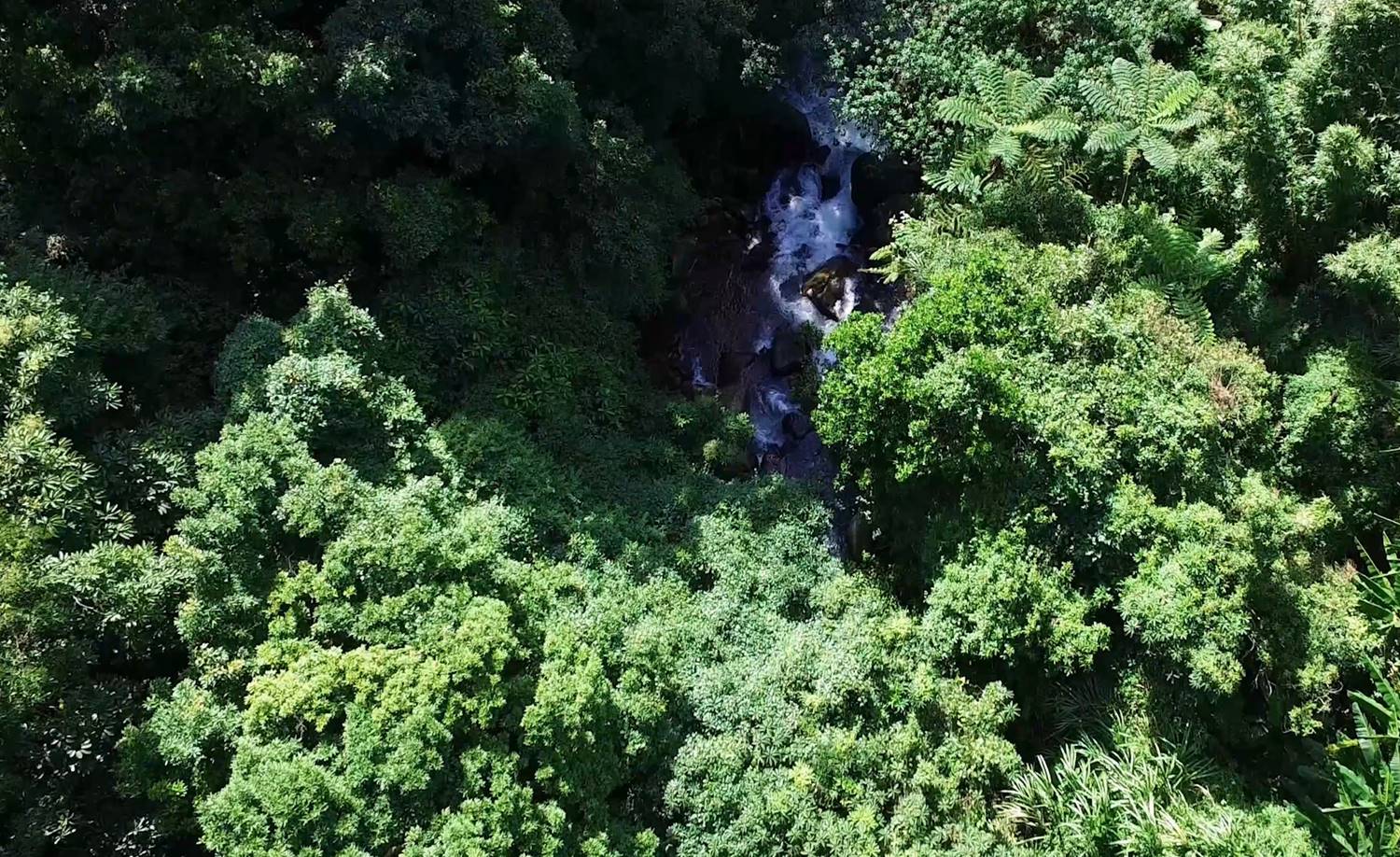 公共給水大台北區-陽明淨水場