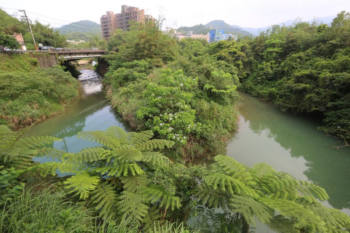 公共給水基隆河流域