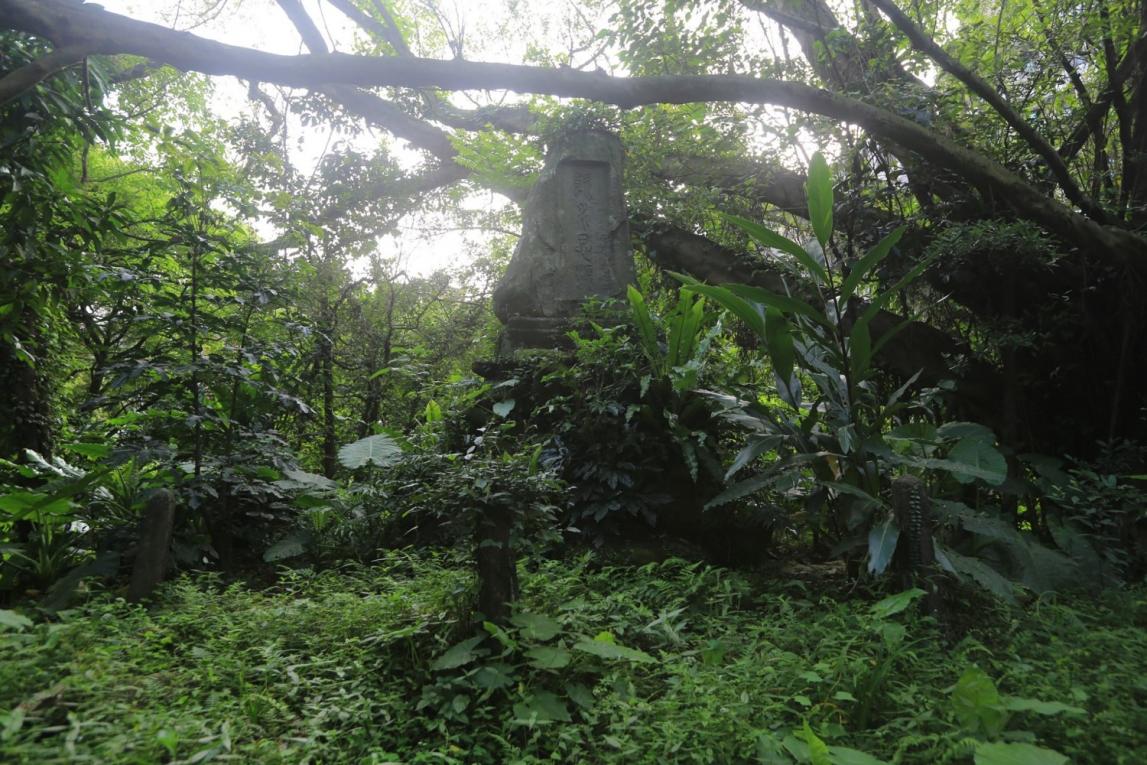 公共給水基隆地區暖暖淨水廠