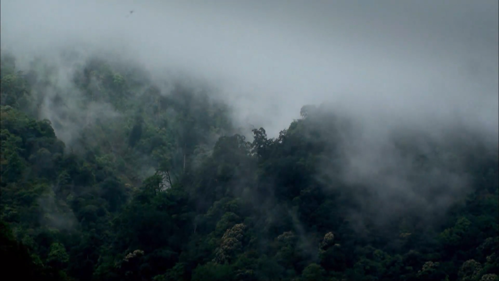 大甲溪流域上游山嵐情景