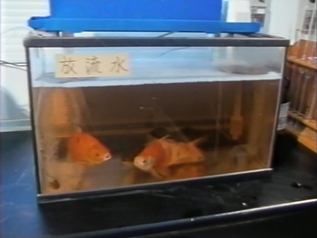 榮工處承辦之環保工程-觀音汙水廠操作及管理