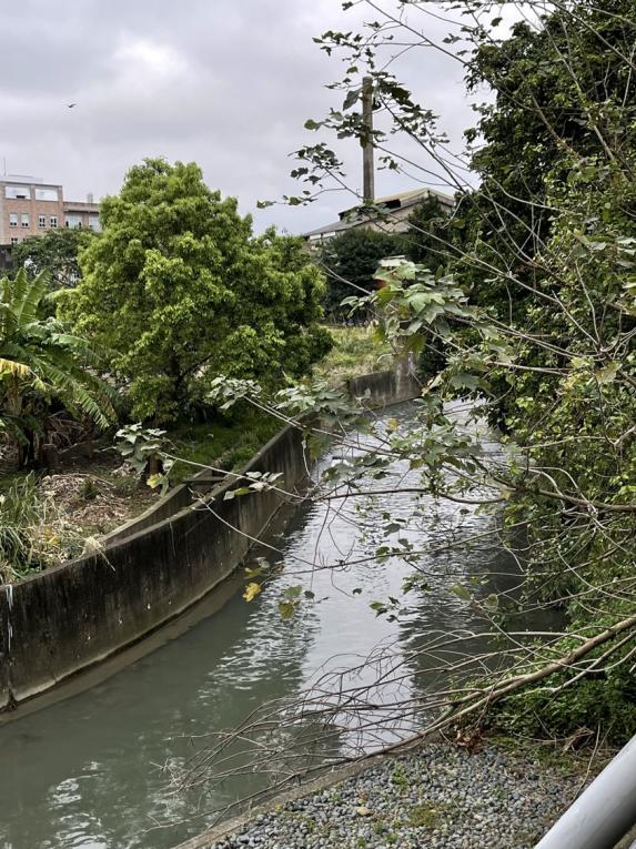 新竹水道水的水源