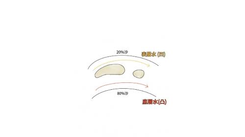 以排砂的基本物理學觀點，在一個彎水道裡，表層水會走凹岸，而攜帶泥沙的底層水會走凸岸，因此，岷江水挾帶沙石由上游向下流，其中約80%的沙子，會經由凸岸的外江排走，另外20%的沙子流向內江。