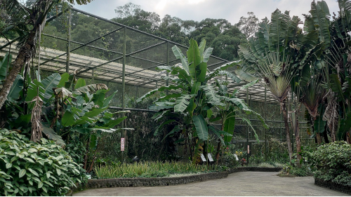 榮工處承辦新動物園第一期土木工程，於1982年2月開工，經過4年多的辛勤努力，於1985年11月完工。施工項目包括早期的整地工程，以及大門入口區兒童動物區、蝴蝶館、蝴蝶谷公園、沙漠澳洲非洲動物區、夜行動物館、教育行政中心、展示中心及其他各項休憩設施等，此外，並包括植生景觀及自然環境整理修飾。