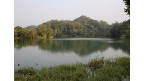 寶山淨水場水源寶山水庫環湖步道一景