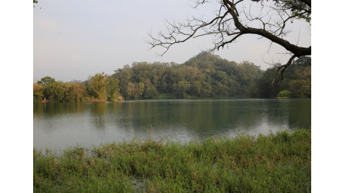 寶山淨水場水源寶山水庫環湖步道一景