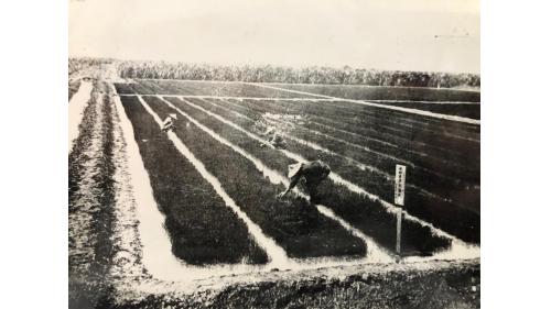 鳥山頭水庫:日治時期嘉南平原一隅