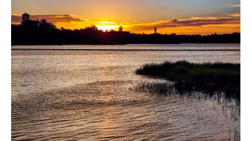 得月樓畔夕照。「蓬島湧金」是澄清湖風景特定八景之一，於位澄清湖東岸，每屆黃昏日落時分，夕陽灑在河水上的光，像是許多金針銀線，隨著水波晃動著，令人陶醉！