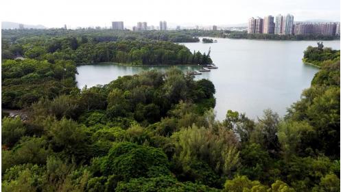 澄清湖原名大埤，座落於高雄縣鳥松鄉，日據時代(1940年)由高屏溪抽水，經曹公圳將溪水引入澄清湖水庫，供應高雄成功路(獅甲)一帶之工業用水。1952年政府斥資整建、擴充供水設備，並完成水庫之擋水壩，將水庫改名為「大貝湖」，每日出水量增至4萬噸。1965年元月為配合澂清樓之命名，而將水庫更名為「澄清湖水庫」。