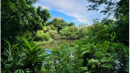 「鳥松濕地公園」2000年9月24日啟用，是台灣第一座以人工濕地為主題的公園。以自然生態教學為主，觀光遊憩為輔的公園。紀錄了93種鳥類、250種以上的昆蟲及340種以上的植物，是個戶外教學及自然觀察的好場所。