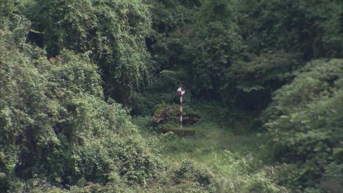 大甲溪流域德基水庫全測站自動經緯儀「覘標」