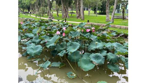 捷運內湖線沿線車站大湖公園站(BR20)周邊-大湖公園