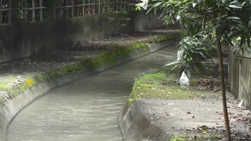 道將圳嘉義大學新民校區旁