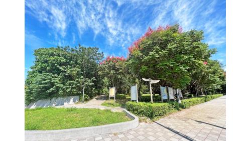 淡海輕軌綠山線沿線車站-濱海沙崙站周邊-公七簡易自然公園