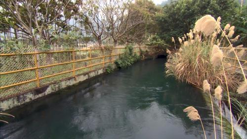 軟橋電廠前池