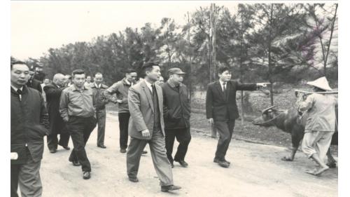 榮工永遠的大家長嚴孝章先生生平-奉派任榮工處處長