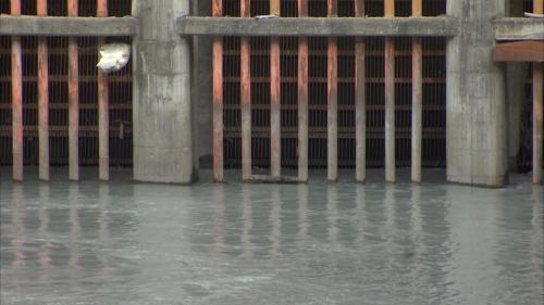立霧溪流域溪畔壩制水門(立霧電廠取水口)