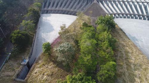 位於集集鎮田寮里隘寮堤防內之丘陵坡地，佔地約13公頃，採兩座並聯方式設計，以因應70秒立方公尺的龐大通水量。