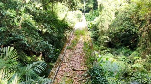 桃園大圳2號水橋