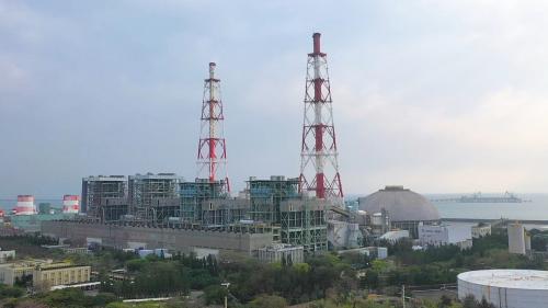 興達發電廠始建於1978年，啟用於1982年，總容量約為430萬瓩，為全台第三大之火力發電廠，僅次於台中電廠及大潭電廠。