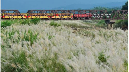 阿里山森林鐡路牛稠溪橋